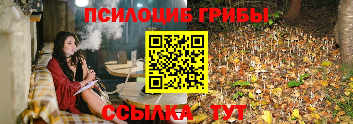 Галлюциногенные грибы Cubensis Урус-Мартан