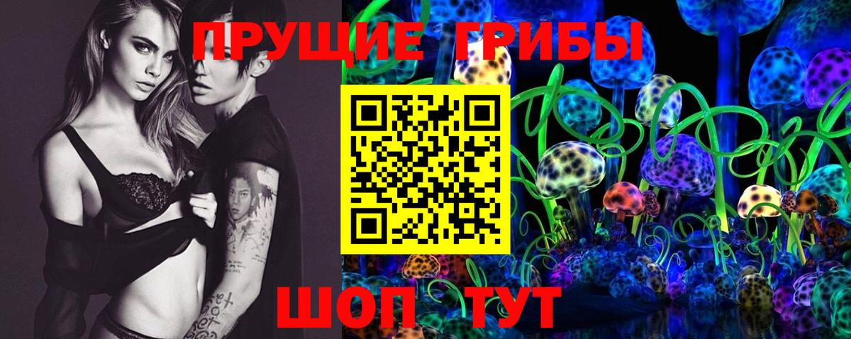 Урус-Мартан  купить наркотик  Вход с VPN  Псилоцибиновые грибы Psilocybe 